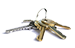 5-hearing-aid-keys