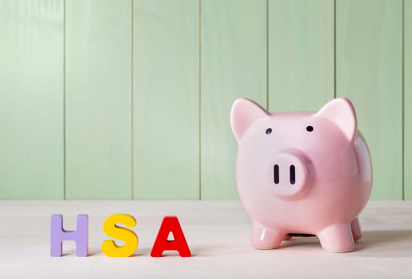 HSA1 HSA with piggy bank